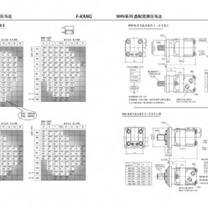 BMV系列擺線液壓馬達